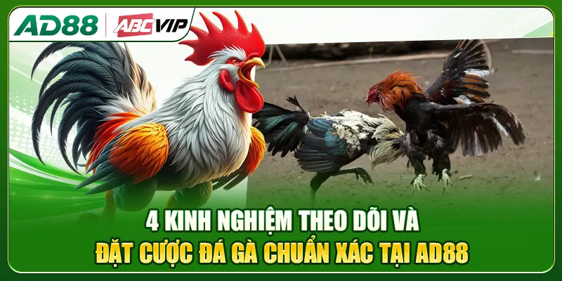 4 kinh nghiệm theo dõi và đặt cược đá gà chuẩn xác tại AD88