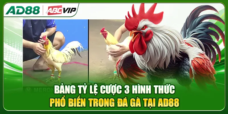 Bảng tỷ lệ cược 3 hình thức phổ biến trong đá gà AD88