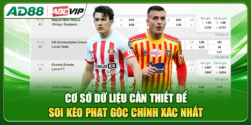 Cơ sở dữ liệu cần thiết để soi kèo phạt góc chính xác nhất