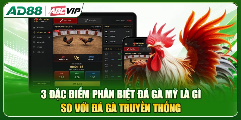 3 đặc điểm phân biệt đá gà Mỹ với các hình thức đá gà khác