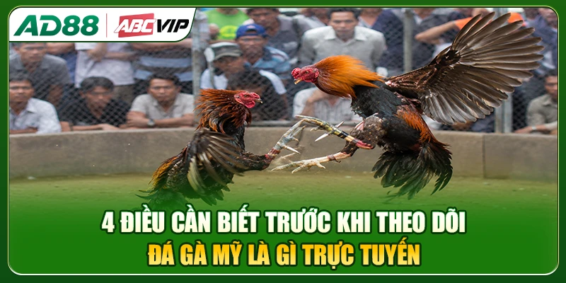 4 điều cần biết trước khi theo dõi đá gà Mỹ trực tuyến