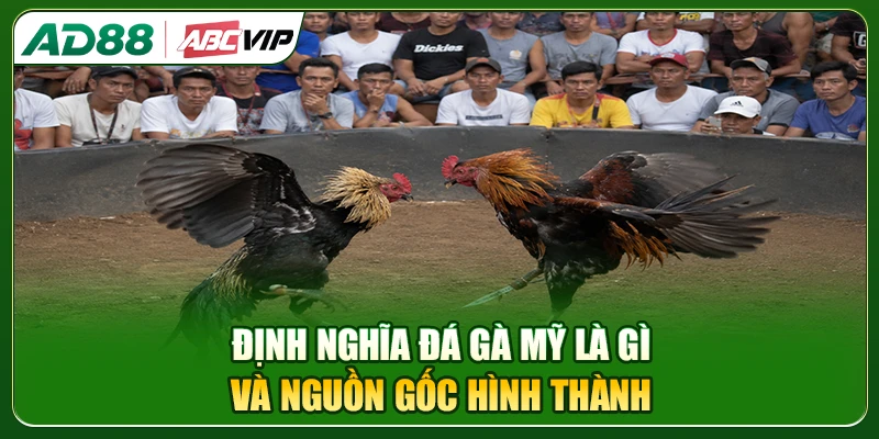 Định nghĩa và nguồn gốc của đá gà Mỹ online