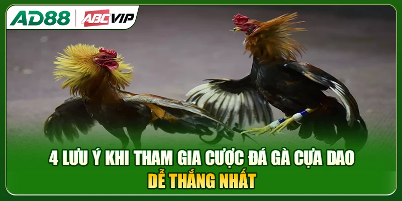 Những lưu ý quan trọng nhất khi tham gia đặt cược đá gà cựa dao trực tuyến