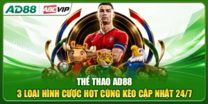 Thể Thao AD88: 3 Loại Hình Cược Hot Cùng Kèo Cập Nhật 24/7